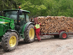 Brennholz Buche/Esche gespalten