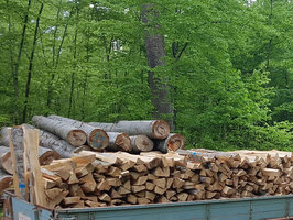 Brennholzhandel Killmayer