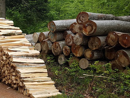 Brennholzverkauf Killmayer Hechingen