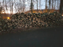 Brennholzverkauf Killmayer Hechingen